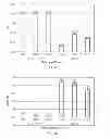Fig. 29 - Polymerization of nucleic acids using proteins having low isoelectric points