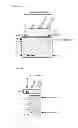 Fig. 02 - KIT FOR DIAGNOSING CARDIOMYOPATHY AND METHOD FOR PREDICTING CARDIOMYOPATHY
