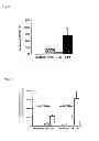 Fig. 06 - METHOD OF MEASURING HUMAN CYP3A INDUCIBILITY