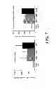 Fig. 07 - METHOD OF MEASURING HUMAN CYP3A INDUCIBILITY