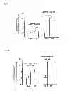 Fig. 08 - METHOD OF MEASURING HUMAN CYP3A INDUCIBILITY
