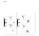 Fig. 02 - MOLECULAR ARCHITECTURE ON MAGNETIC PARTICLES FOR AFFINITY ASSAYS WITH LOW NON-SPECIFIC BINDING