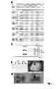 Fig. 04 - WISE/SOST NUCLEIC ACID SEQUENCES AND AMINO ACID SEQUENCES