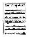 Fig. 13 - WISE/SOST NUCLEIC ACID SEQUENCES AND AMINO ACID SEQUENCES