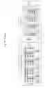 Fig. 20 - WISE/SOST NUCLEIC ACID SEQUENCES AND AMINO ACID SEQUENCES