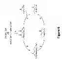 Fig. 07 - Microorganisms and methods for production of specific length fatty alcohols and related compounds