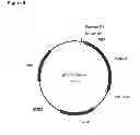 Fig. 11 - Methods of producing isoprene and a co-product