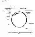 Fig. 229 - Methods of producing isoprene and a co-product