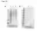 Fig. 279 - Methods of producing isoprene and a co-product