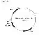 Fig. 283 - Methods of producing isoprene and a co-product