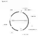 Fig. 301 - Methods of producing isoprene and a co-product