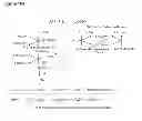Fig. 327 - Methods of producing isoprene and a co-product