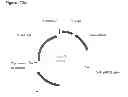 Fig. 332 - Methods of producing isoprene and a co-product