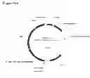 Fig. 337 - Methods of producing isoprene and a co-product