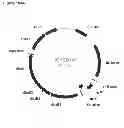 Fig. 355 - Methods of producing isoprene and a co-product