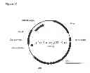 Fig. 81 - Methods of producing isoprene and a co-product