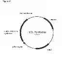 Fig. 89 - Methods of producing isoprene and a co-product