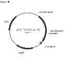 Fig. 93 - Methods of producing isoprene and a co-product