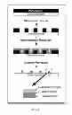 Fig. 04 - Synthetically Functionalized Living Cells