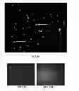 Fig. 09 - Synthetically Functionalized Living Cells
