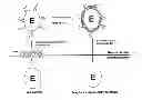 Fig. 01 - Manufacturing method for silica encapsulated single-enzyme nanoparticles and single-enzyme nanoparticles manufactured by means of method