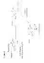 Fig. 04 - Fractionation of charged polysaccharide