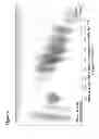 Fig. 08 - Fractionation of charged polysaccharide