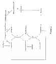 Fig. 03 - Pentose fermentation by a recombinant microorganism