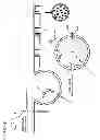 Fig. 03 - Degradable clostridial toxins
