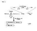 Fig. 04 - Degradable clostridial toxins