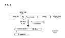 Fig. 02 - MODIFIED CLOSTRIDIAL TOXINS COMPRISING AN INTEGRATED PROTEASE CLEAVAGE SITE-BINDING DOMAIN