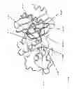 Fig. 02 - Modified beta-lactamases and methods and uses related thereto