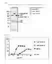 Fig. 02 - Modified laminin and use thereof