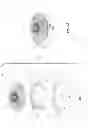 Fig. 06 - Buffing pad centering system