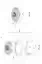 Fig. 08 - Buffing pad centering system