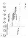 Fig. 07 - Emergency call handoff between heterogeneous networks