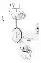 Fig. 02 - System and method for electronic communications between users in a similar geographic location