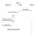 Fig. 04 - Method for allocating wireless resources in wireless access system and device therefore