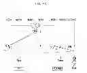 Fig. 04 - Planetary gear train of automatic transmission for vehicles