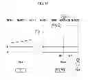 Fig. 09 - Planetary gear train of automatic transmission for vehicles