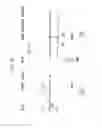 Fig. 10 - Planetary gear train of automatic transmission for vehicle
