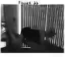 Fig. 34 - Unique Exercise and Strength Training Apparatus, and Method of Exercise and Strength Training