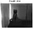 Fig. 37 - Unique Exercise and Strength Training Apparatus, and Method of Exercise and Strength Training
