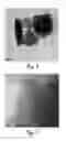 Fig. 03 - Mesoporous zeolite catalyst supports