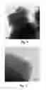 Fig. 04 - Mesoporous zeolite catalyst supports
