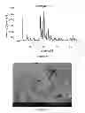 Fig. 04 - Small crystal ferrierite and method of making the same