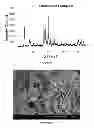 Fig. 09 - Small crystal ferrierite and method of making the same