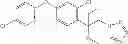 Fig. 19 - Fungicidal alkyl-substituted 2[2-chloro-4-(4-chioro-phenoxy)-phenyl]-1[1,2,4]triazol-1-yl-ethanol compounds