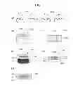 Fig. 04 - Assay method using encoded particle-based platform
