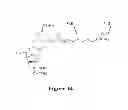 Fig. 12 - Synthetic Antibodies